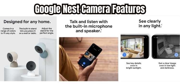 Google Nest Camera vs Ring