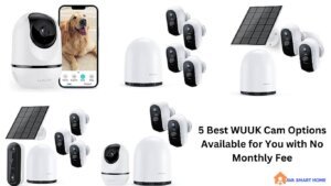 5 Best WUUK Cam Options Available for You with No Monthly Fee