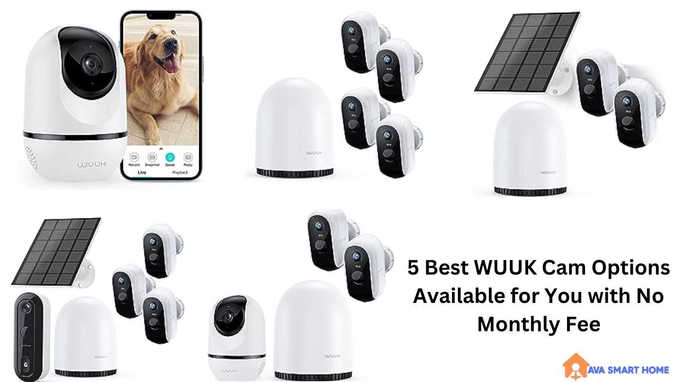 Wuuk Camera Review: Unraveling the Power of Smart Surveillance