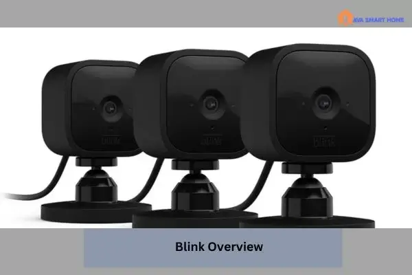 Are Blink Cameras Compatible with Google Home?