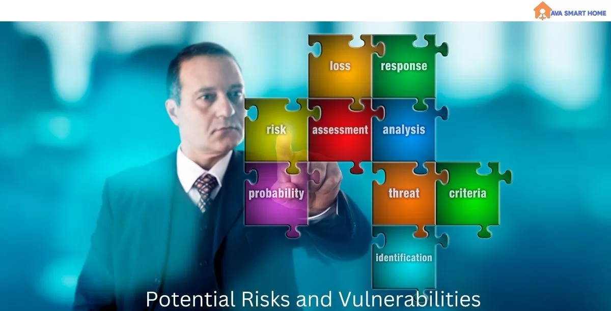 Potential Risks and Vulnerabilities