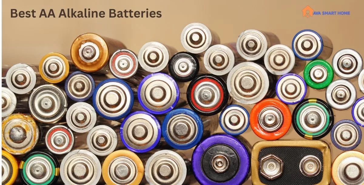 Best AA Alkaline Batteries